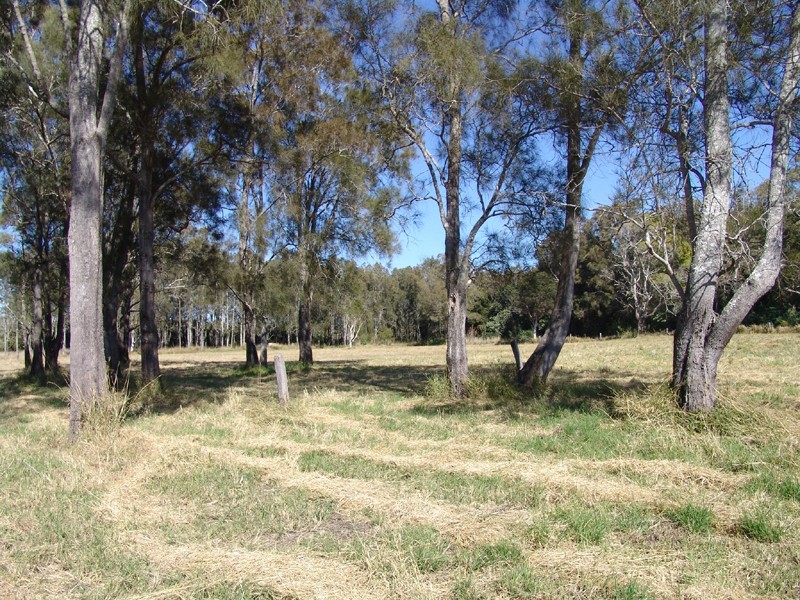 Mitchells Island NSW 2430