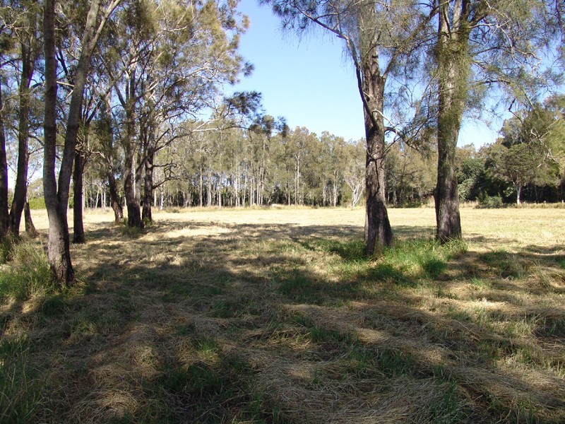 Mitchells Island NSW 2430