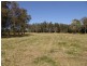 Mitchells Island NSW 2430