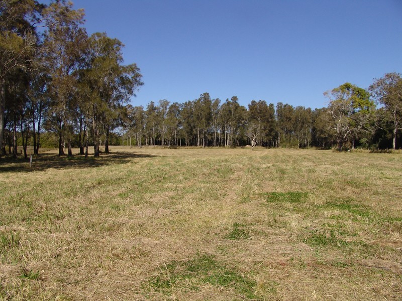 Mitchells Island NSW 2430