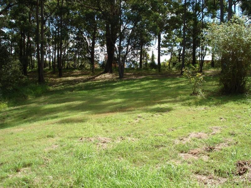 Mitchells Island NSW 2430