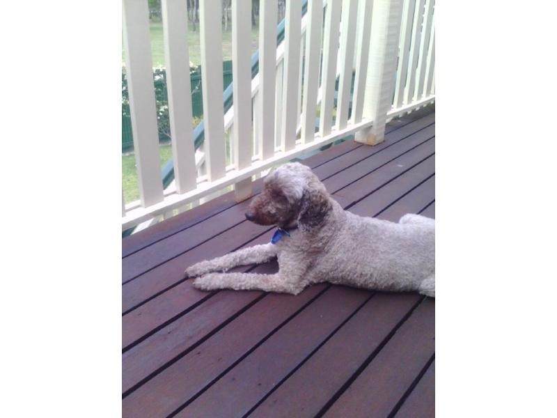 9/2940 Gold Coast Highway, Surfers Paradise QLD 4217