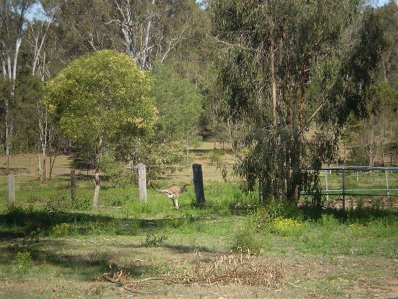 South Maclean QLD 4280