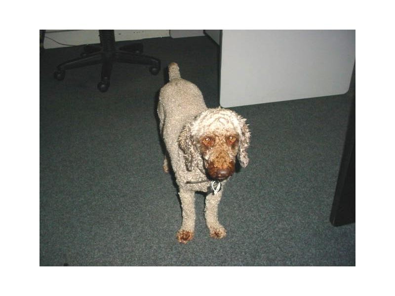 Deception Bay QLD 4508