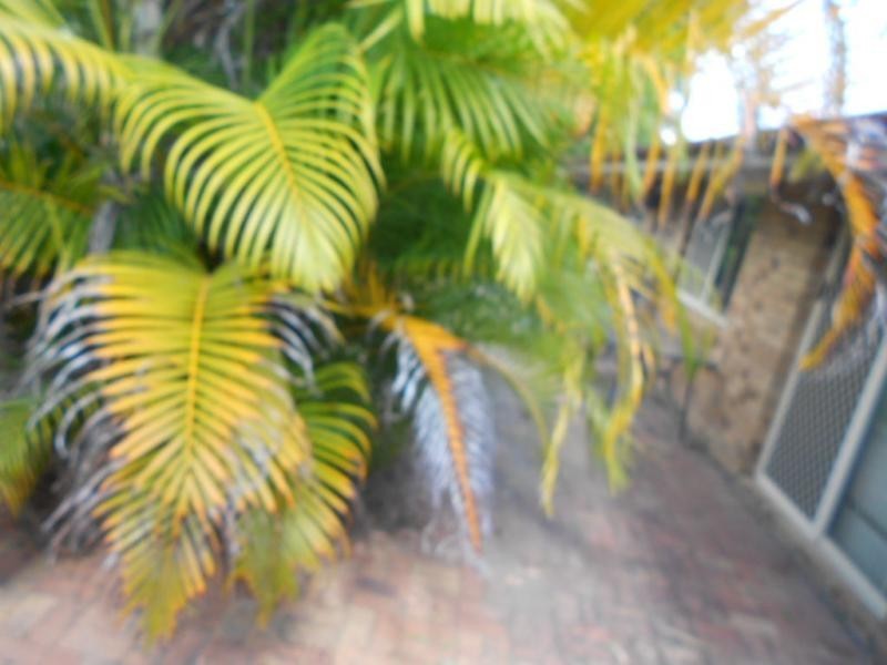 Deception Bay QLD 4508