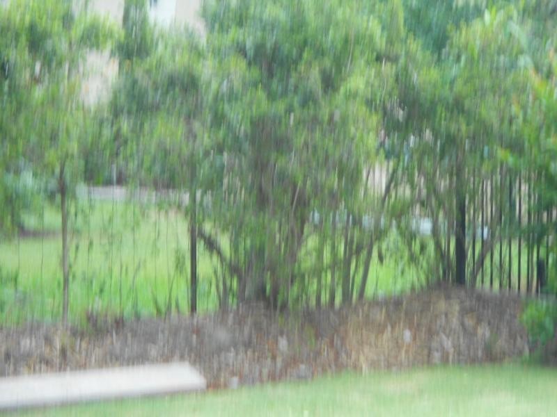 Landsborough QLD 4550