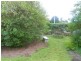 Deception Bay QLD 4508