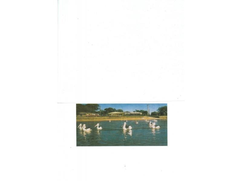 Deception Bay QLD 4508