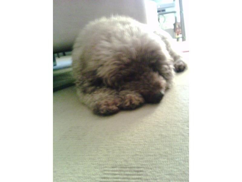 Deception Bay QLD 4508