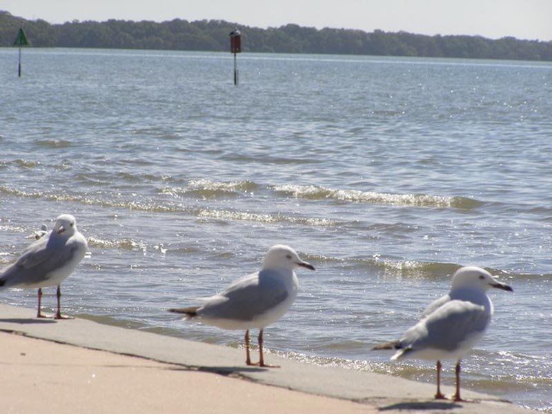 3/7 Captain Cook Parade, Deception Bay QLD 4508