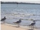 Deception Bay QLD 4508