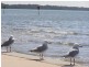 Deception Bay QLD 4508