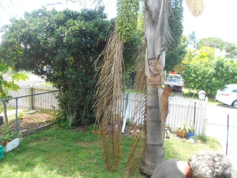 Deception Bay QLD 4508
