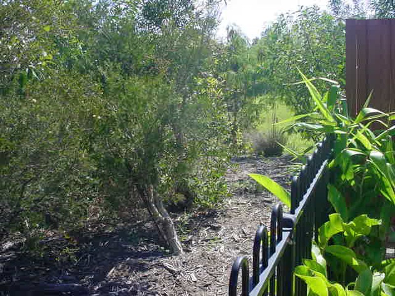 20 Kimbertey Drive, Burpengary QLD 4505