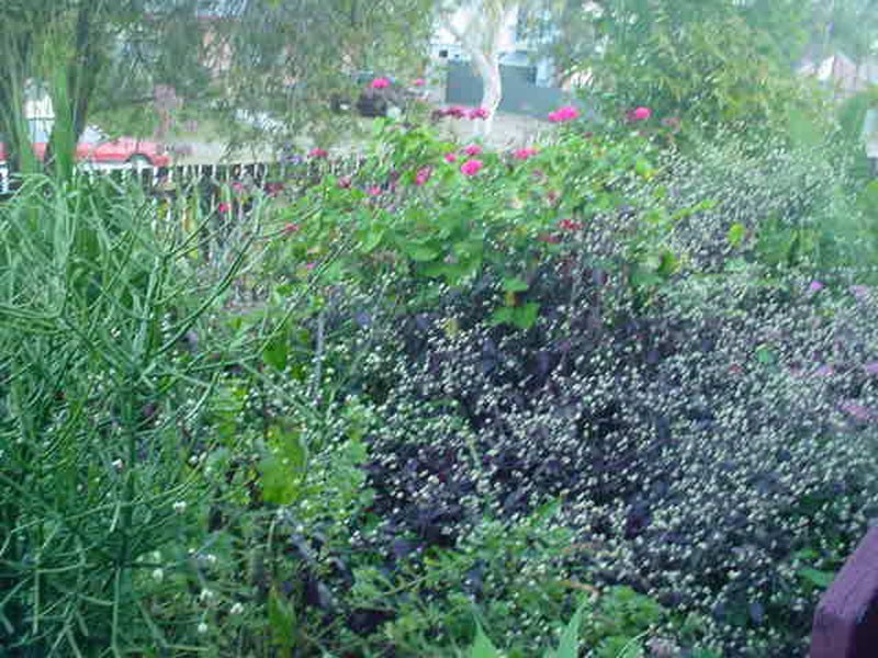 Deception Bay QLD 4508