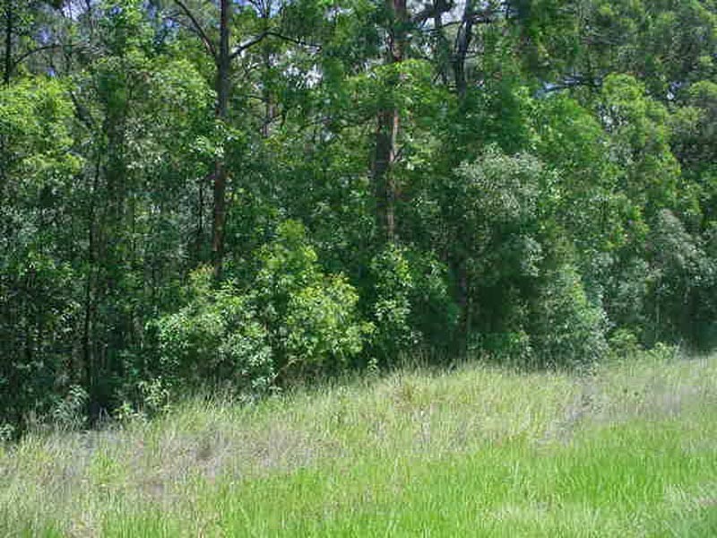 North Lakes QLD 4509