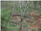 Lot  13 Old Esk Road, Taremo, Blackbutt QLD 4306