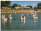 Deception Bay QLD 4508