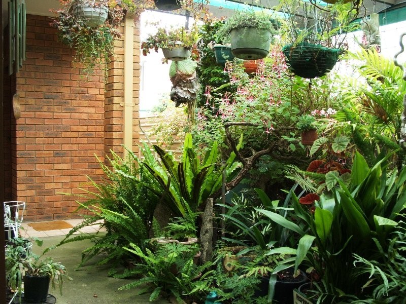 18 Genista Street, San Remo VIC 3925