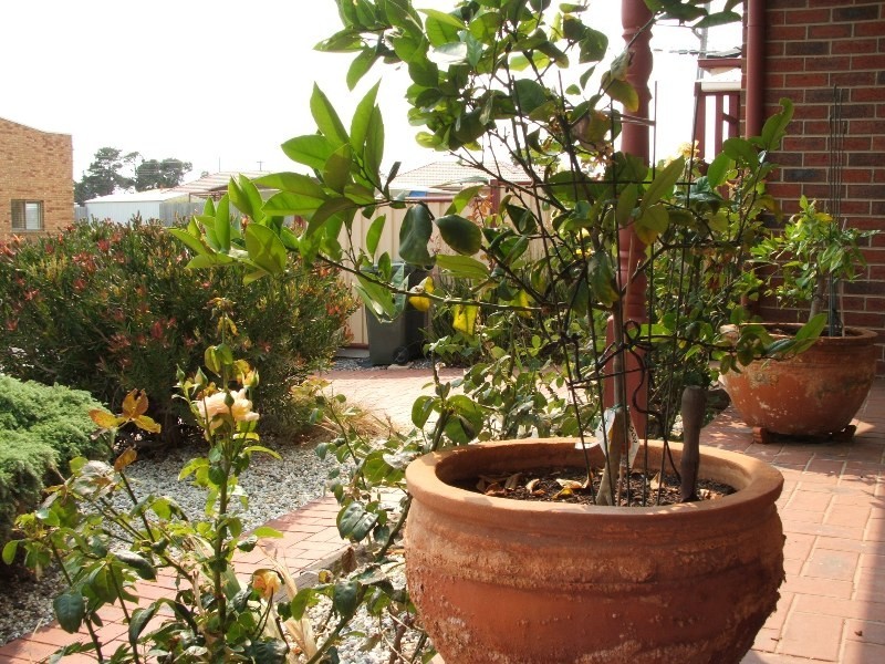 63 Genista Street, San Remo VIC 3925