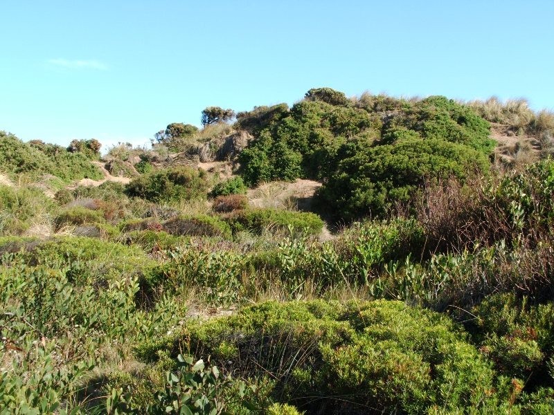 92 Ocean Reach, Cape Woolamai VIC 3925