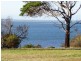 6 Mariners Court, Corinella VIC 3984