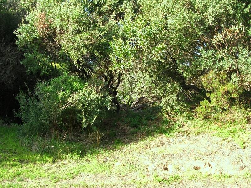 175 Woolamai Beach Road, Cape Woolamai VIC 3925