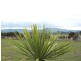 333 Guy Road, Tenby Point VIC 3984