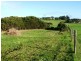 50 Potters Hill Road, San Remo VIC 3925