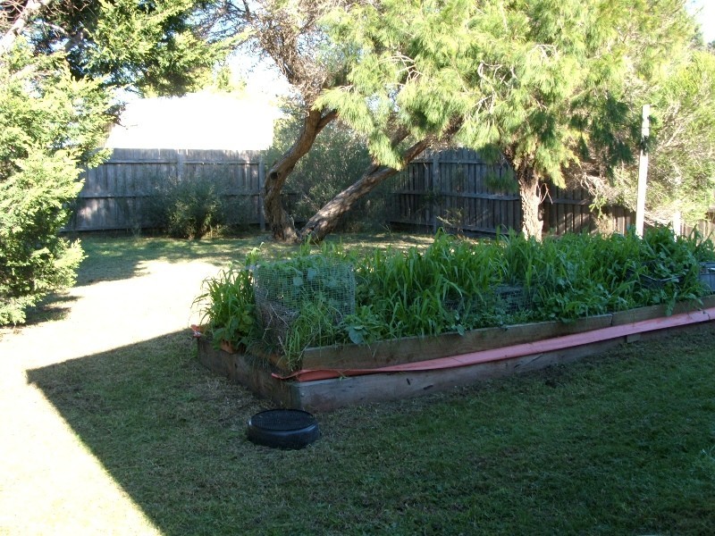 7 Pinedale Avenue, Cape Woolamai VIC 3925