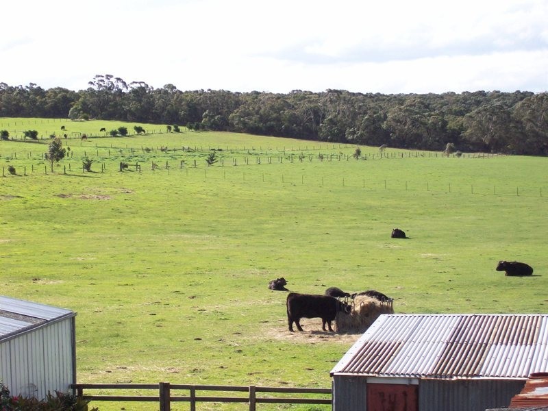 1955 Glen Forbes Road, Glen Forbes VIC 3990