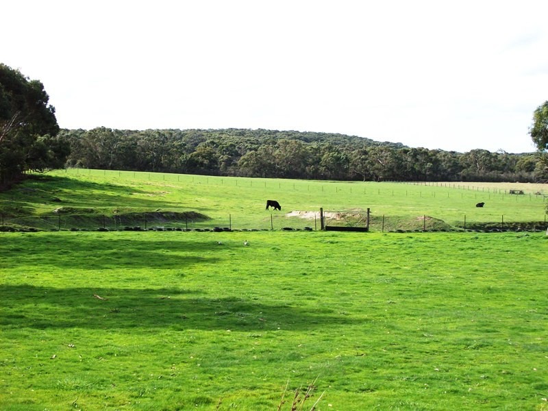 1950 Glen Forbes Road, Glen Forbes VIC 3990