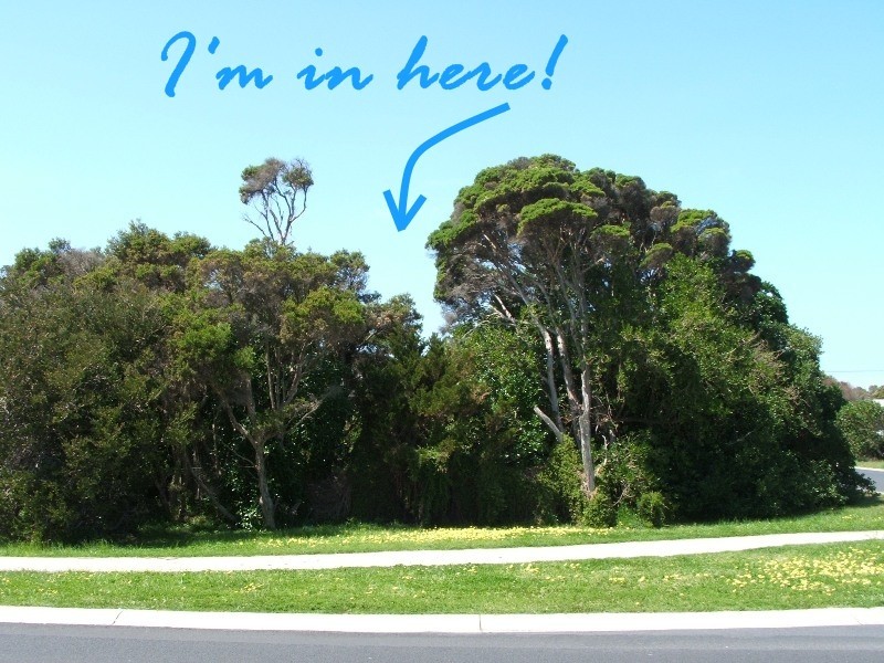 85 Woolamai Beach Road, Cape Woolamai VIC 3925