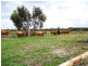 Lot 5 Blackwood Close, Grantville VIC 3984