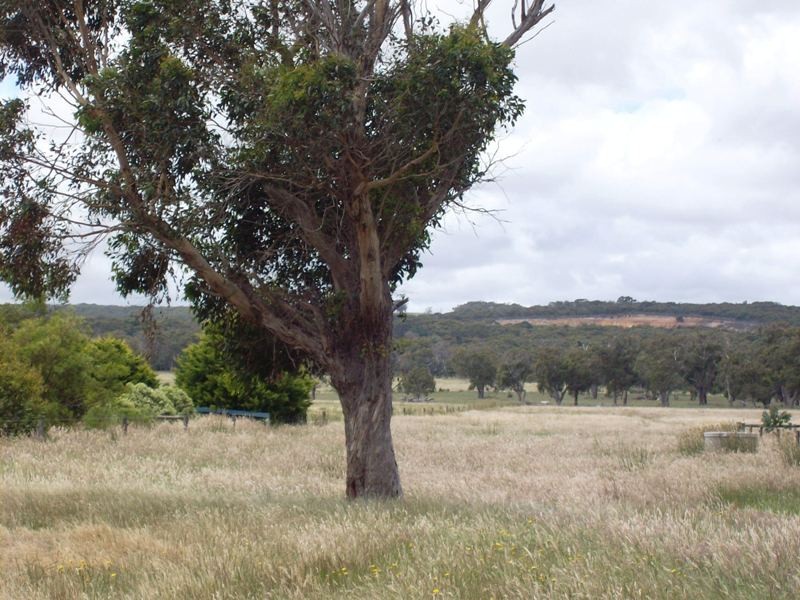 Lot 5 Blackwood Close, Grantville VIC 3984