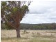 Lot 5 Blackwood Close, Grantville VIC 3984