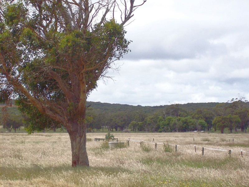 Lot 5 Blackwood Close, Grantville VIC 3984