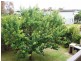 5 Bass Horizon Promenade, Coronet Bay VIC 3984