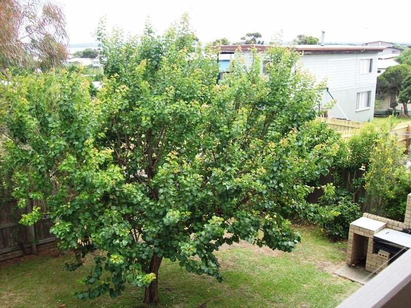 5 Bass Horizon Promenade, Coronet Bay VIC 3984