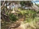 12 Southport Avenue, Cape Woolamai VIC 3925