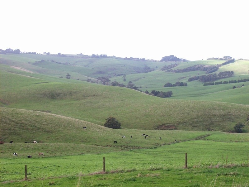 1915 Loch Wonthaggi Road, Wonthaggi VIC 3995