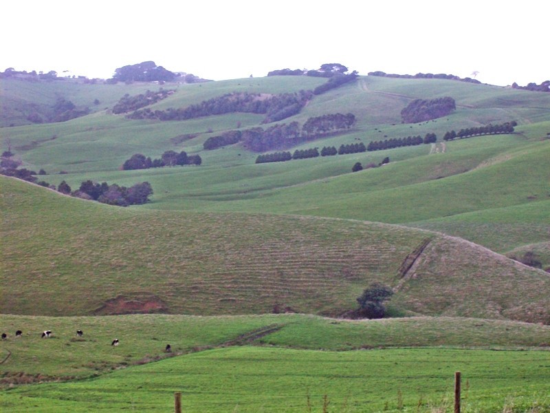 1915 Loch Wonthaggi Road, Wonthaggi VIC 3995