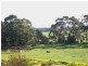 43 Island View Road, The Gurdies VIC 3984