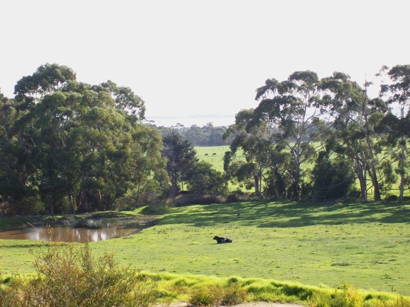 43 Island View Road, The Gurdies VIC 3984
