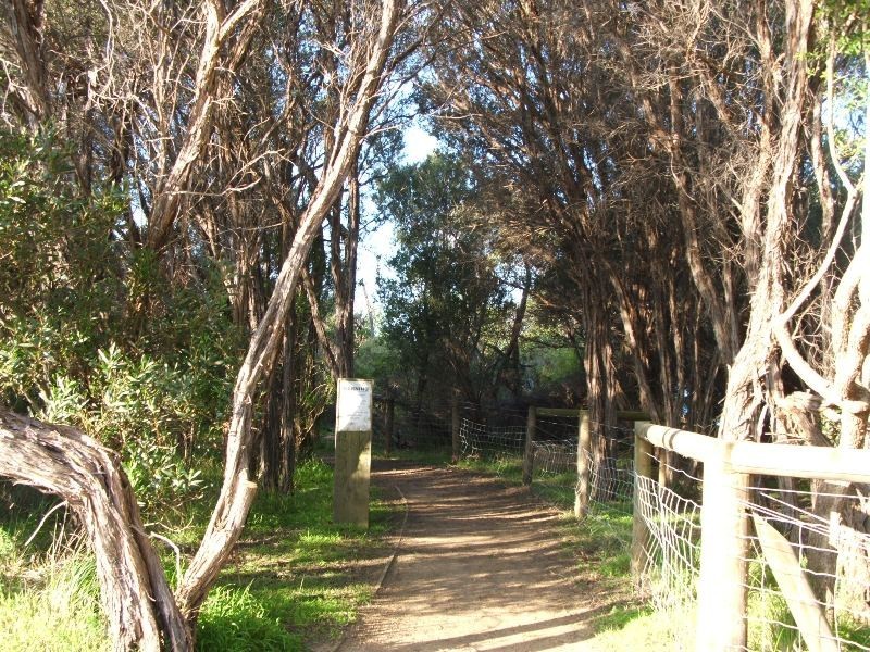 22 Cronulla Avenue, Cape Woolamai VIC 3925