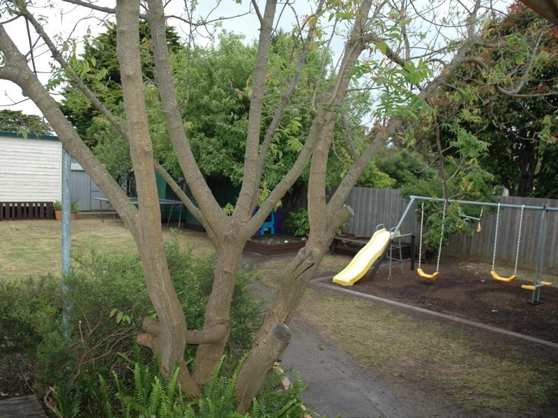 17 Grandview Grove, Cowes VIC 3922