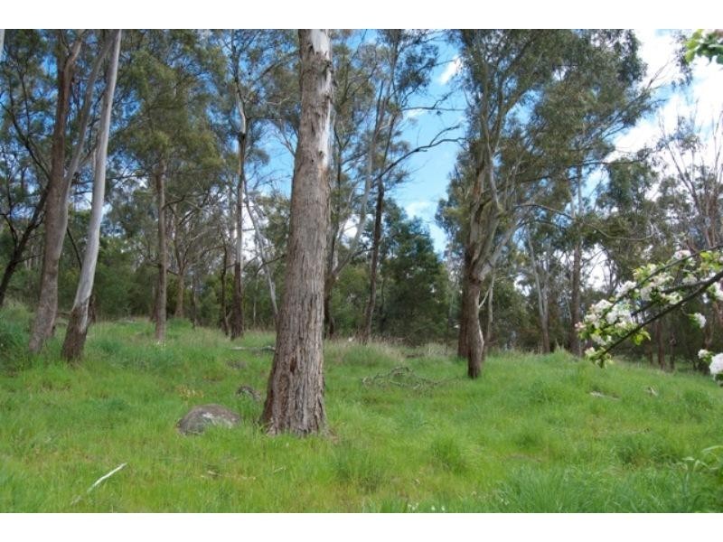 36 Salisbury Crescent, Launceston TAS 7250