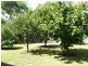 12 Kallay Drive, Pioneer Bay VIC 3984