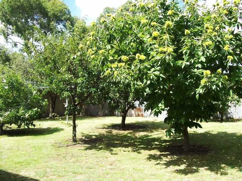 12 Kallay Drive, Pioneer Bay VIC 3984