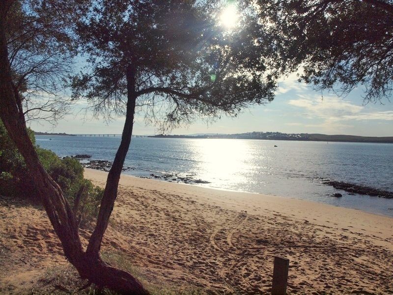 19 Bridgeview Drive, Cape Woolamai VIC 3925